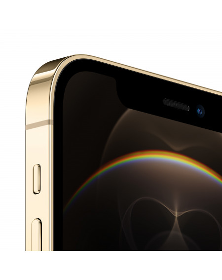 iPhone 12 Pro 256Go Or - Reconditionné - Grade B