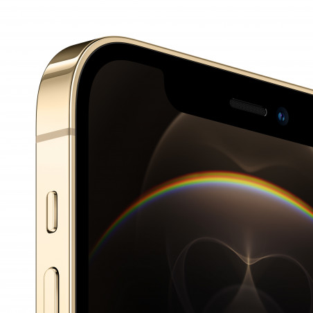 iPhone 12 Pro 256Go Or - Reconditionné - Grade B