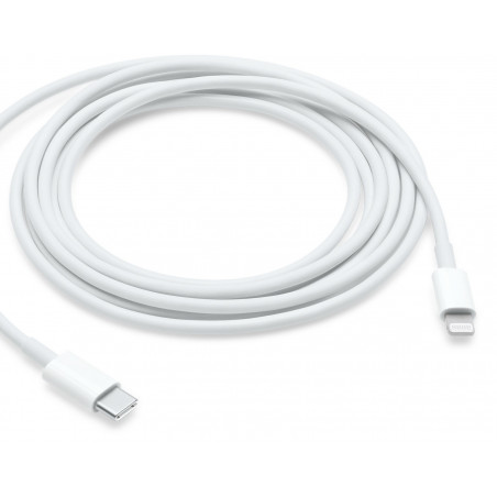 Cable USB-C vers Lightning ( 2m)