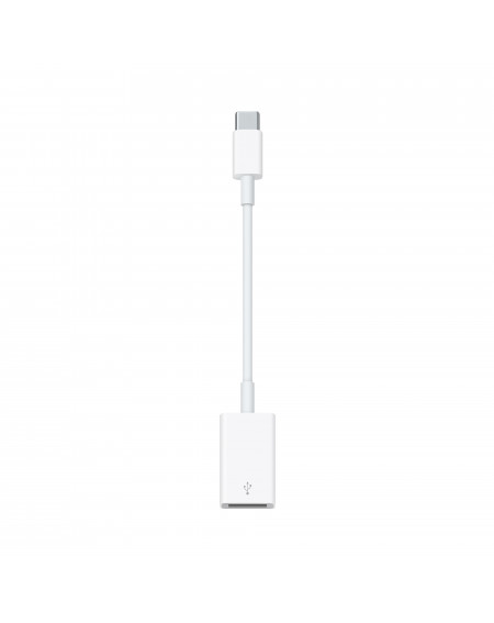 Adaptateur APPLE USB-C vers USB