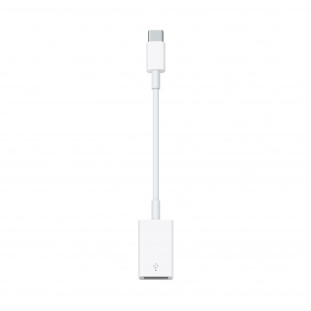 Adaptateur APPLE USB-C vers USB