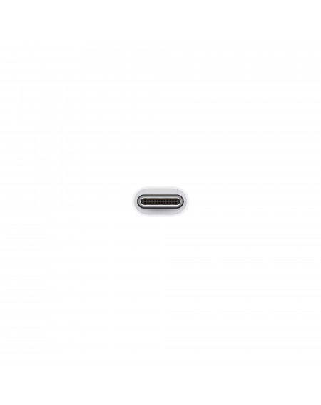 Adaptateur APPLE USB-C vers USB