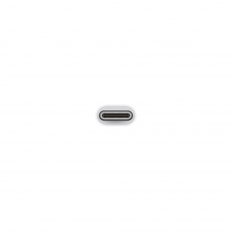 Adaptateur APPLE USB-C vers USB