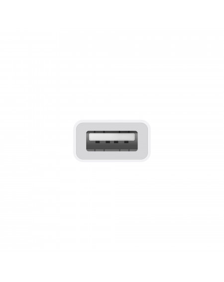 Adaptateur APPLE USB-C vers USB