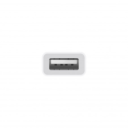 Adaptateur APPLE USB-C vers USB